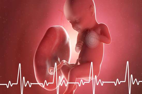 کنفرانس علمی یک روزه *ارزیابی قلب جنین در لیبر و زایمان، تفسیر NST و CTG* 